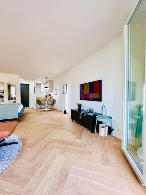 Modern With Balcony * Zurigo